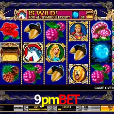 9pmbet Brasília - Jogo Features