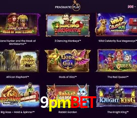Interface Premium 9pmbet